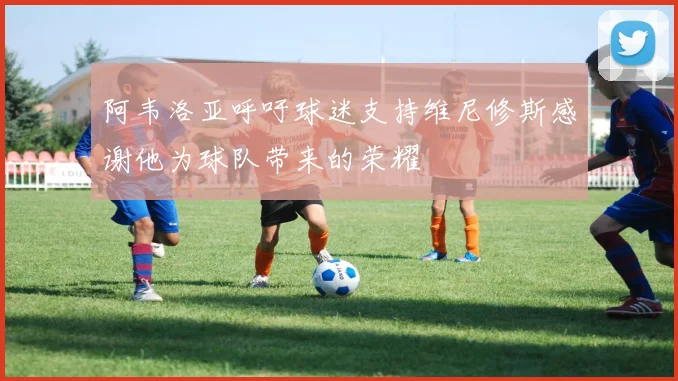 阿韦洛亚呼吁球迷支持维尼修斯感谢他为球队带来的荣耀